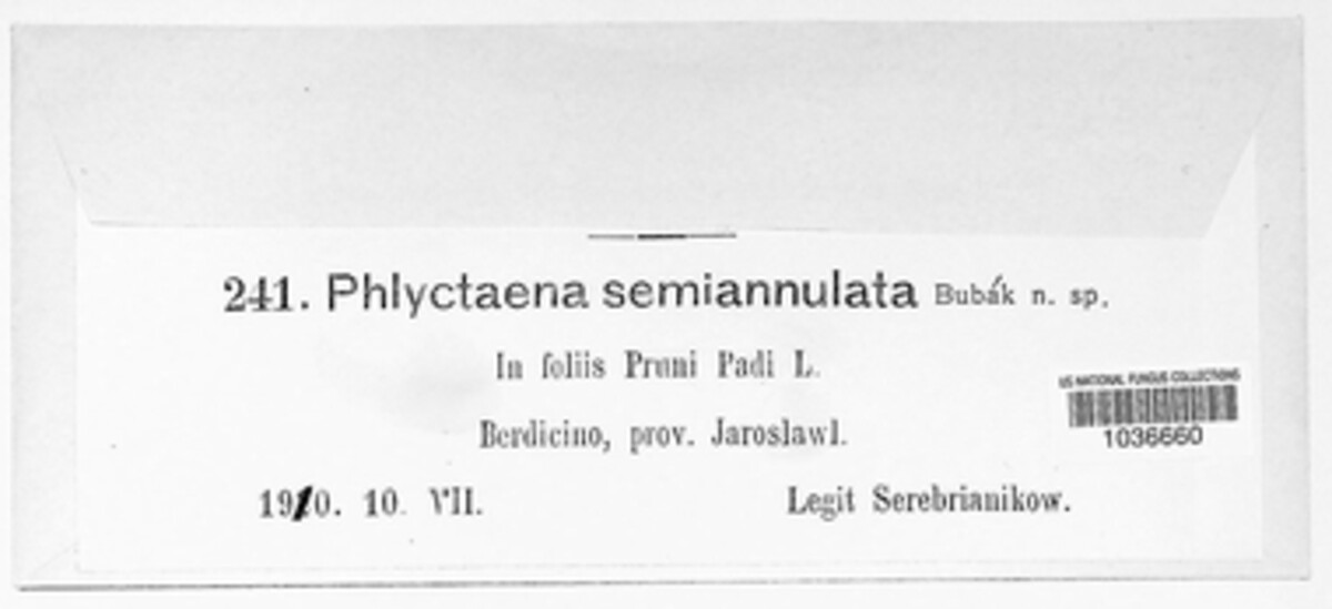 Phlyctema semiannulata image